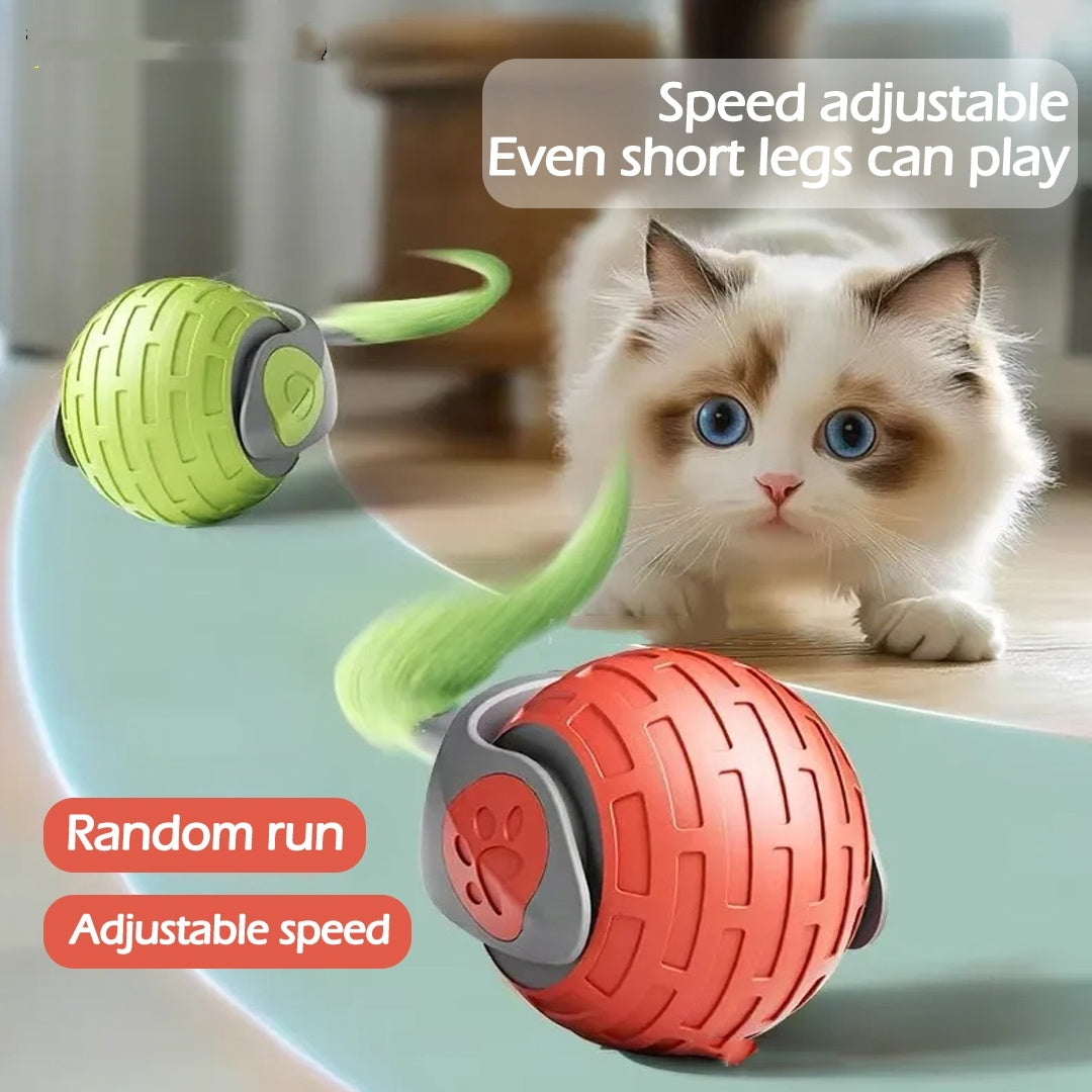 Auto Electric Rolling Ball Toys For Cat