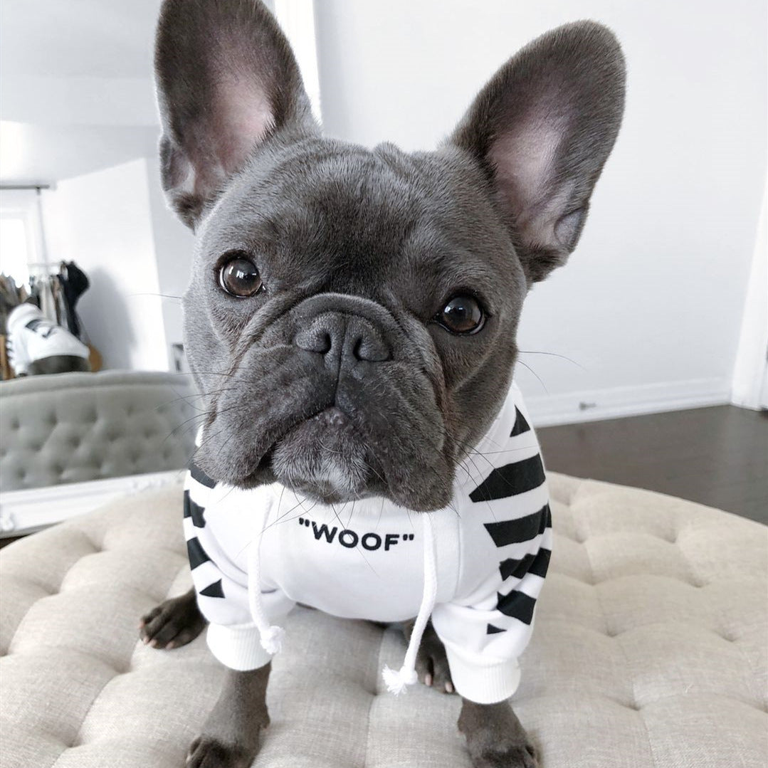 three-stripe dog sweater spoof