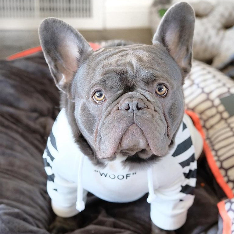three-stripe dog sweater spoof