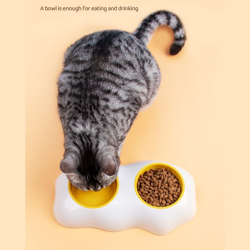 Pet Water And Food Bowls