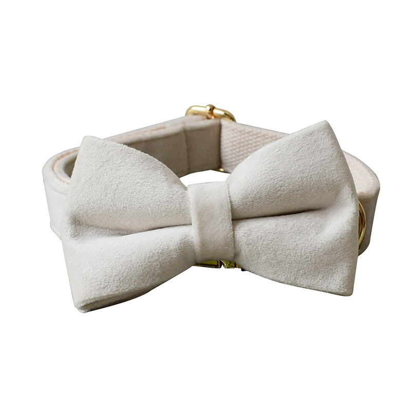 Milky White Velvet Dog Collar