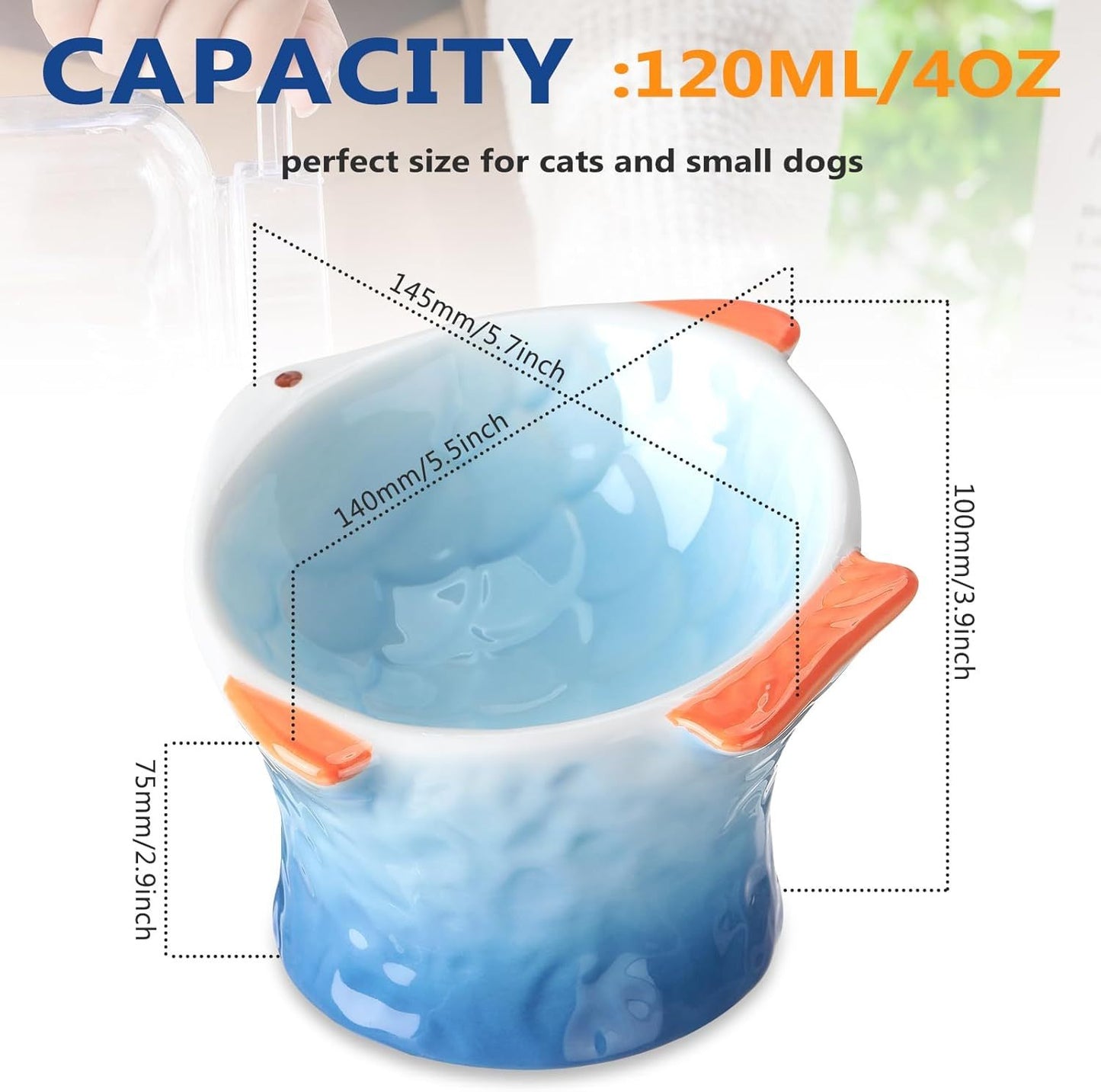 Ceramic Fish Shape Elevated Bowls