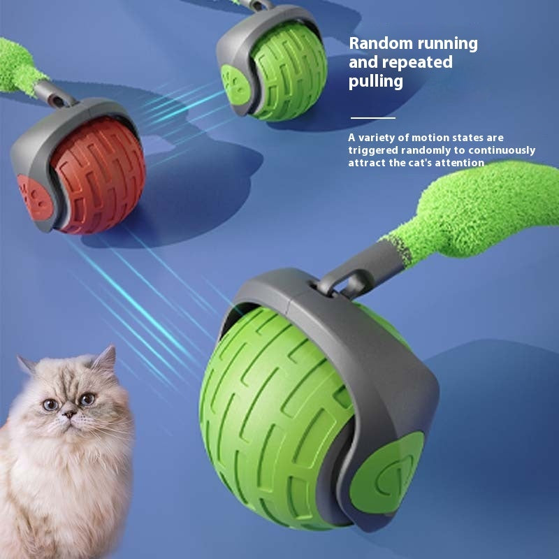 Auto Electric Rolling Ball Toys For Cat