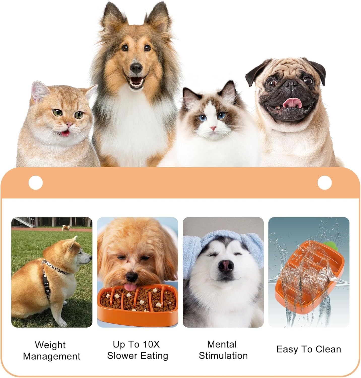 Slow Feeder Dog Bowl