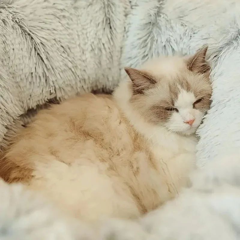 Pet Plush Cushions Christmas Beds