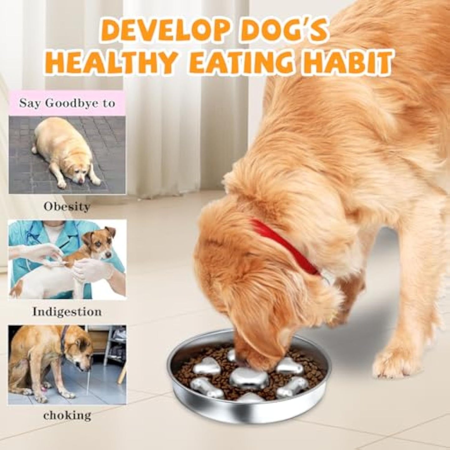 Non-Slip Metal Dog Food Bowl