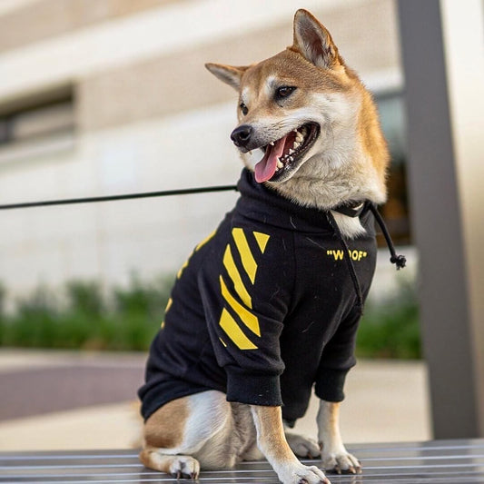 three-stripe dog sweater spoof