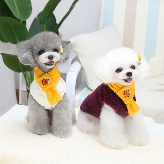 Complimentary Scarf and Down Jacket