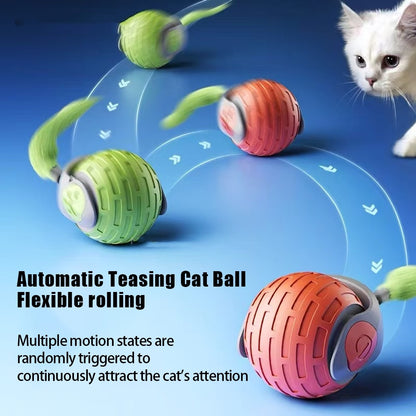 Auto Electric Rolling Ball Toys For Cat