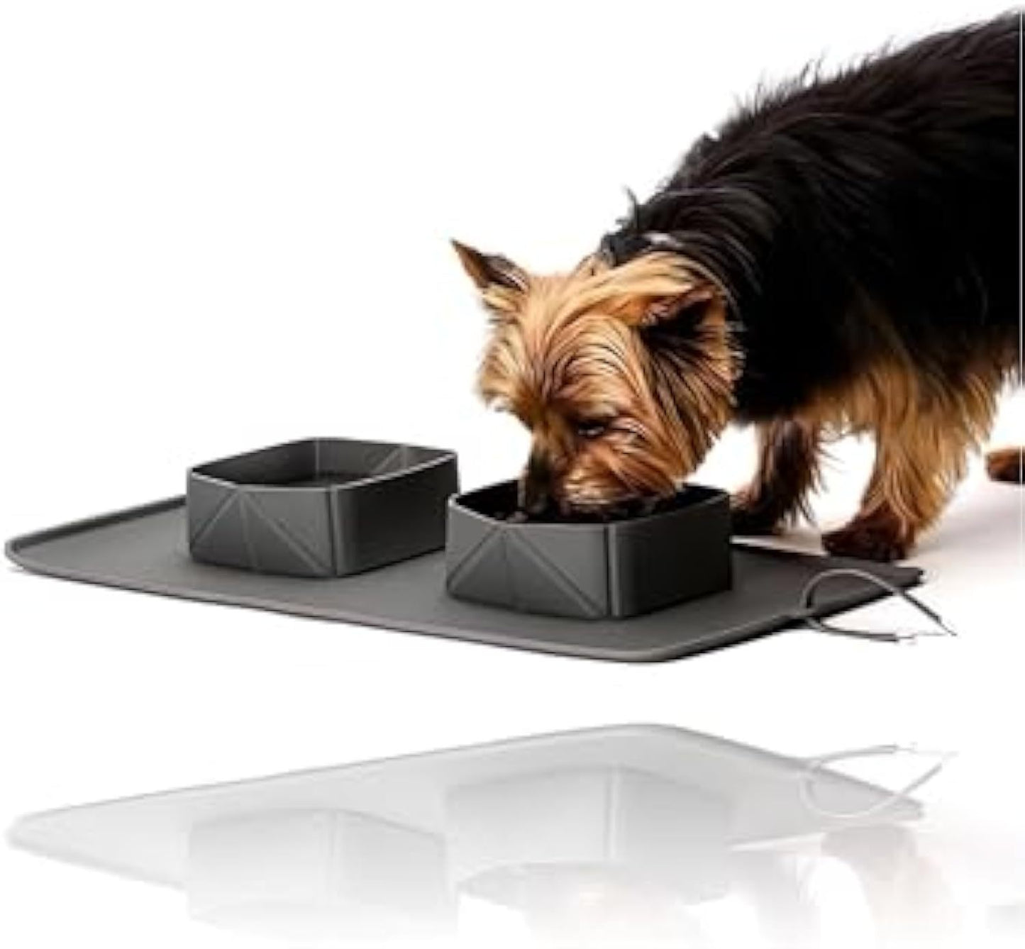 Generic Portable Pet Feeder